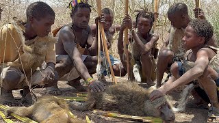 Explore the true African bushmen hunting tradition cooking and food [upl. by Atlanta486]