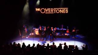 The Overtones in Cork 2012 quotGambling Manquot [upl. by Rem]