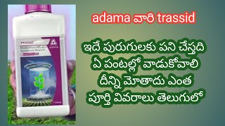 adama trassid insecticide full details in telugu [upl. by Barcot]