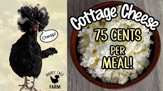 3 Extreme Budget Friendly Cottage Cheese Recipes for Breakfast Lunch and Dinner  Up the Protein [upl. by Aihk791]