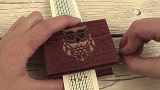 Harry Potter Hedwigs Theme music box [upl. by Enovad]