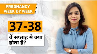 37th  38th week of Pregnancy  Pregnancy week by week in Hindi Dr Pallavi  Femcare Fertility [upl. by Raychel]