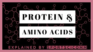 Protein and Amino Acids Explained [upl. by Daile]