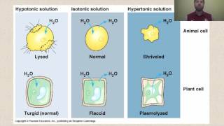 Types of Solutions [upl. by Ayn]