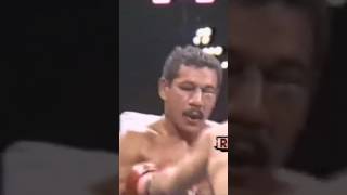 🥊Nunca hables mal de Julio César Chávez 🇲🇽 vs Rosario 🇵🇷 boxing box [upl. by Clapp102]