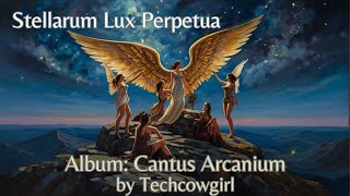 Stellarum Lux Perpetua  Beautiful Latin Choral Acapella Music Angelic  Official Video [upl. by Lenroc168]