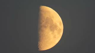 Checking out the moon with the Nikon P1000 [upl. by Inama824]