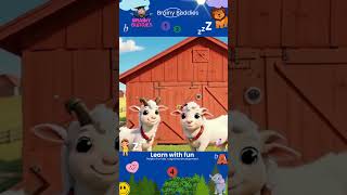 Amazing Animal Homes  Animal Homes Vocabulary for Kids  Animal Names and Homes [upl. by Noyes]