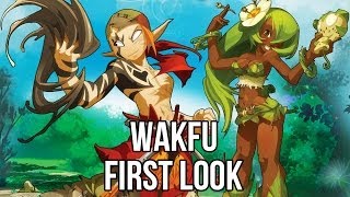 Wakfu Free MMORPG Watcha Playin Gameplay First Look 2014 [upl. by Aicilf]