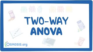 TwoWay ANOVA in SPSS [upl. by Batruk18]