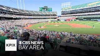 Fans tailgate at Coliseum on As final weekend in Oakland [upl. by Benenson]