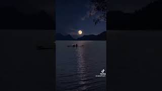 Oceans Moonlight Poem by GoGtheGrey fy fyp youtubeshorts youtube viralvideo [upl. by Luby932]