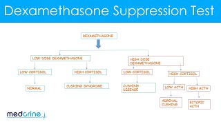 Dexamethasone Suppression Test How it is done and interpretation of the findings [upl. by Rtoip]