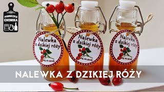 Jak zrobić 48 🌹 Nalewka z dzikiej róży  Piwniczka Chomika [upl. by Anuahc107]