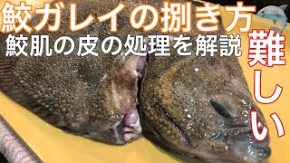 【鮫肌】難しい皮の下処理を解説🦈 サメガレイの捌き方〜鮫肌の処理・三枚おろし・皮引き編〜3 [upl. by Sacttler329]