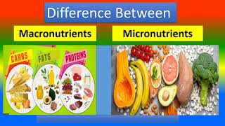 Difference between macronutrients and micronutrients [upl. by Etnoval]