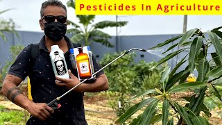 விஷம் விதைக்கும் விவசாயம்  PESTICIDE IN FARMING  Can we Feed Our Population Without Pesticides [upl. by Emil]