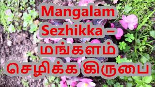 Lyrics  Mangalam Sezhikka – மங்களம் செழிக்க கிருபை  Keerthanai  Breathe Song [upl. by Eenet]