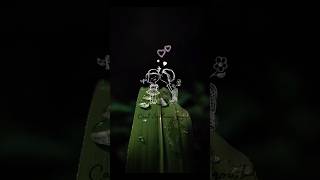 Creative mobile phone photography ideas 💡with Rain amp couple 🌧 song viralvideo love shorts [upl. by Uoliram]