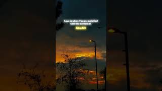 What Is Love  The Beauty Of Existence Nasheed deeneislam shortsvideo explore [upl. by Ingraham502]