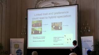 Speciation 2010 Chris Jiggins  Routes to hybrid speciation in Heliconius butterflies [upl. by Rotow]