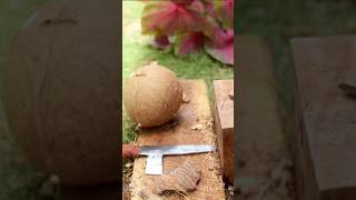 Dried coconut  how to remove coconut from Shell [upl. by Lunetta]