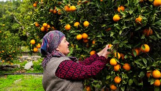 Farm Fresh Lunch  Cooking for Orange Harvest Workers [upl. by Acenahs404]