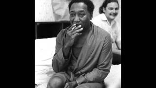 Muddy Waters Key To The Highway Live [upl. by Alaaj]