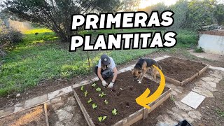 Llenando este espacio de la FINCA de vida Huerto diferente Vlog171 [upl. by Enamart]