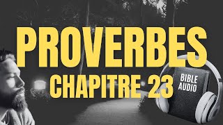 PROVERBE 23  LA BIBLE AUDIO avec textes [upl. by Apollo]