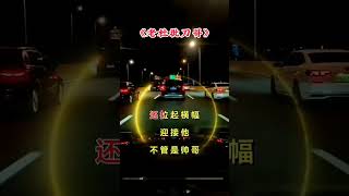 改编歌曲刀郎演唱会就怕歌词入了心 [upl. by Senilec]