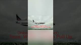 Delta Flight 191 CVR  animation [upl. by Timon378]