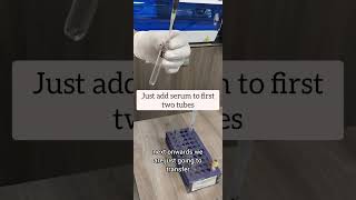 Procedure to calculate Rh Antibodies titre Step by step procedure Rh mltclasses bloodbanking [upl. by Crescantia]