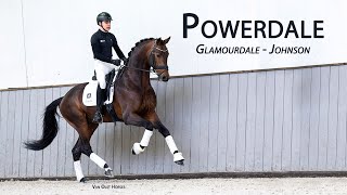 Powerdale 2020 KWPN Stallion by Glamourdale [upl. by Gifferd]