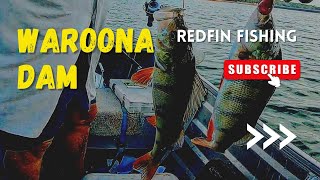 Waroona Dam Redfin Fishing [upl. by Notna]