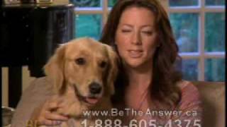 Sarah McLachlan SPCA Commercial [upl. by Novej]