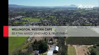 URGENT SALE 8897HA MIXED VINEYARD amp FRUIT FARM  WELLINGTON [upl. by Neirbo]