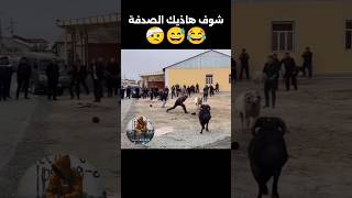 ماشيبلعاني😂😅تشبعضحك ضحك funny رايجزائري اكسبلور تيكتوك تراند الجزائرتونسالمغرب [upl. by Hairahcaz]