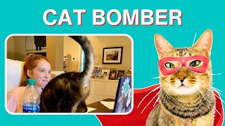 CATS Are Taking Over Virtual Meetings and Its HILARIOUS [upl. by Zulch]