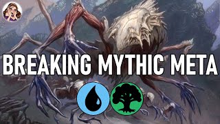 NEW BUSTED ARTIFACT COUNTER BUILD  Standard [upl. by Ahsahtan491]