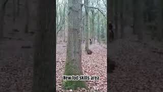 FOD NEW SKILLS AREA Forest of Dean [upl. by Harehs423]