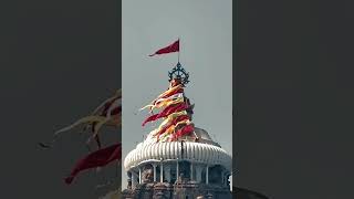 Mu Baraga ku janti chadhi viralvideo lordjagannathpuri hinduholyplaces [upl. by Girvin]