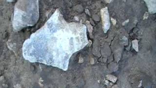 ARROWHEAD HUNTING IN MISSOURI [upl. by Learrsi]