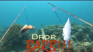 Spearfishing Bontoc and Macrohon Southern Leyte  SilentHunter Bogoi  SB69 [upl. by Merrilee]