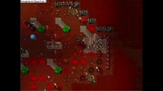 Tibia Time Ring Quest [upl. by Pallas681]