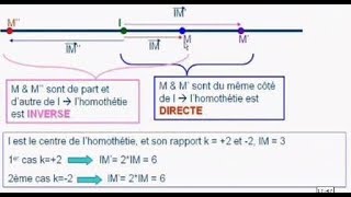 Généralités sur les homothéties [upl. by Ylak]