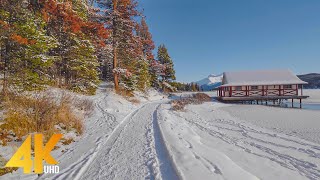 4K Jasper National Park Canada  Winter Walking Tour through Forest with Nature Sounds  Part 2 [upl. by Merrielle498]