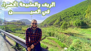 رحلتي في الريف الصيني وجمال الطبيعة الخضراء في الصين 🇨🇳 🌴🌳🌲🌵 [upl. by Haeluj]