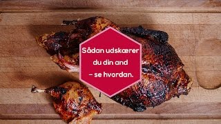 Udskæring af and  Sådan parterer du en andesteg [upl. by Rihsab]