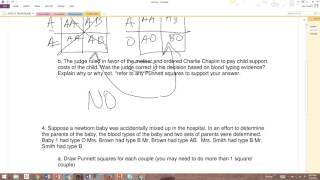 Answers  Multiple Alleles [upl. by Drewett]